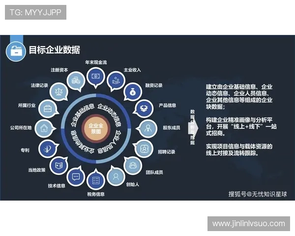 构建以实时数据驱动的智能决策与业务增长新生态体系融合创新发展平台