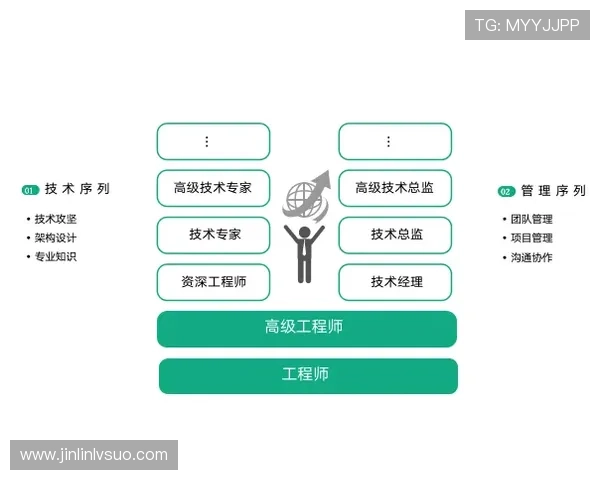 球星未来规划解析：从职业生涯到退役后的发展路径