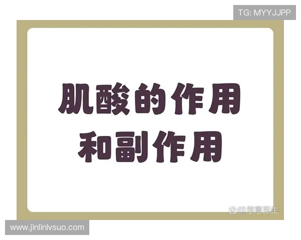 科学掌握肌酸使用方法与剂量时机提升运动表现全攻略安全事项指南