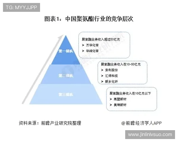 大洋洲名额分配格局与国际赛事发展前景探析及区域竞争力提升研究 - 副本