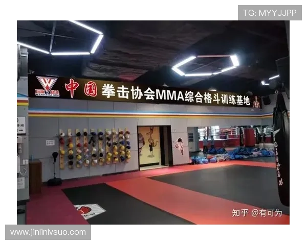 综合格斗竞技魅力与技术演进及未来发展趋势深度剖析全球格局变化 - 副本 - 副本 - 副本 (3)