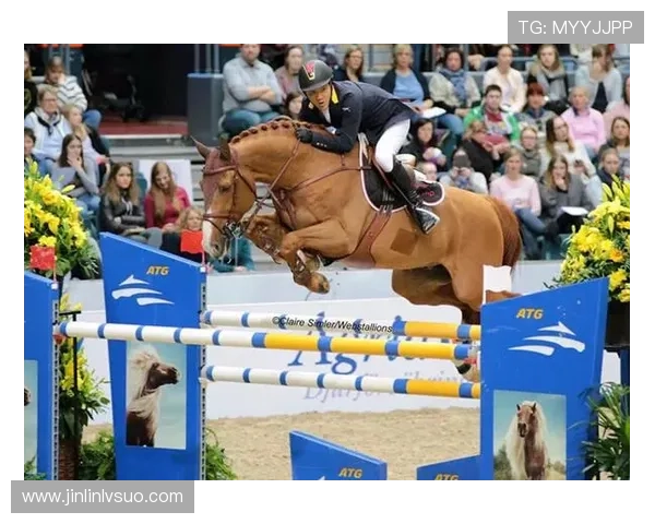 世界杯精彩赛事在线直播免费观看全程无广告体验指南 - 副本 (2) - 副本